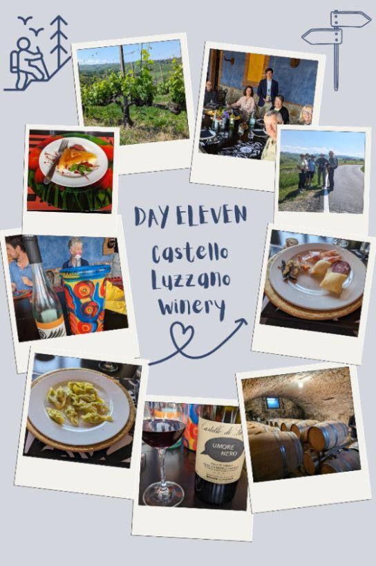 Vineyard, group dining, roadside hikers, wine bottle, cellar barrels, plated pasta, cured meats, dessert.