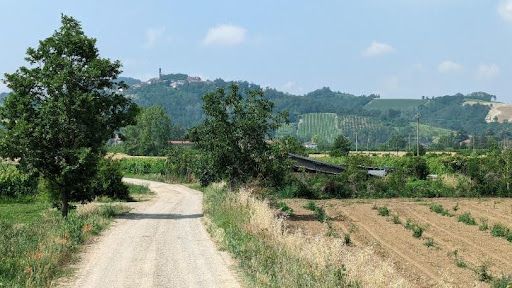 Rural dirt road leading through farmland with a hilltop village in the distance.