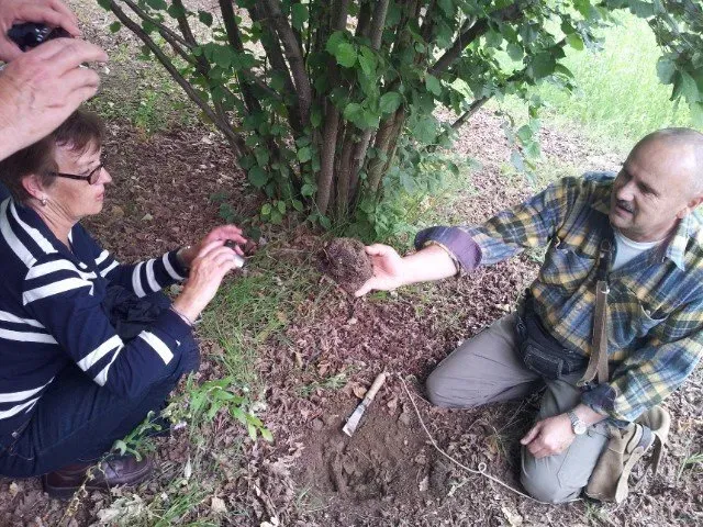 Man presenting a freshly dug truffle to a woman taking a photo.