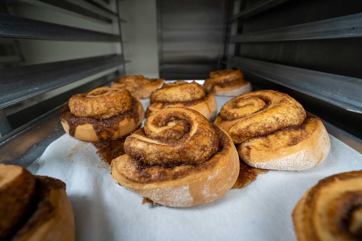 Fresh cinnamon rolls on a baking tray inside an oven