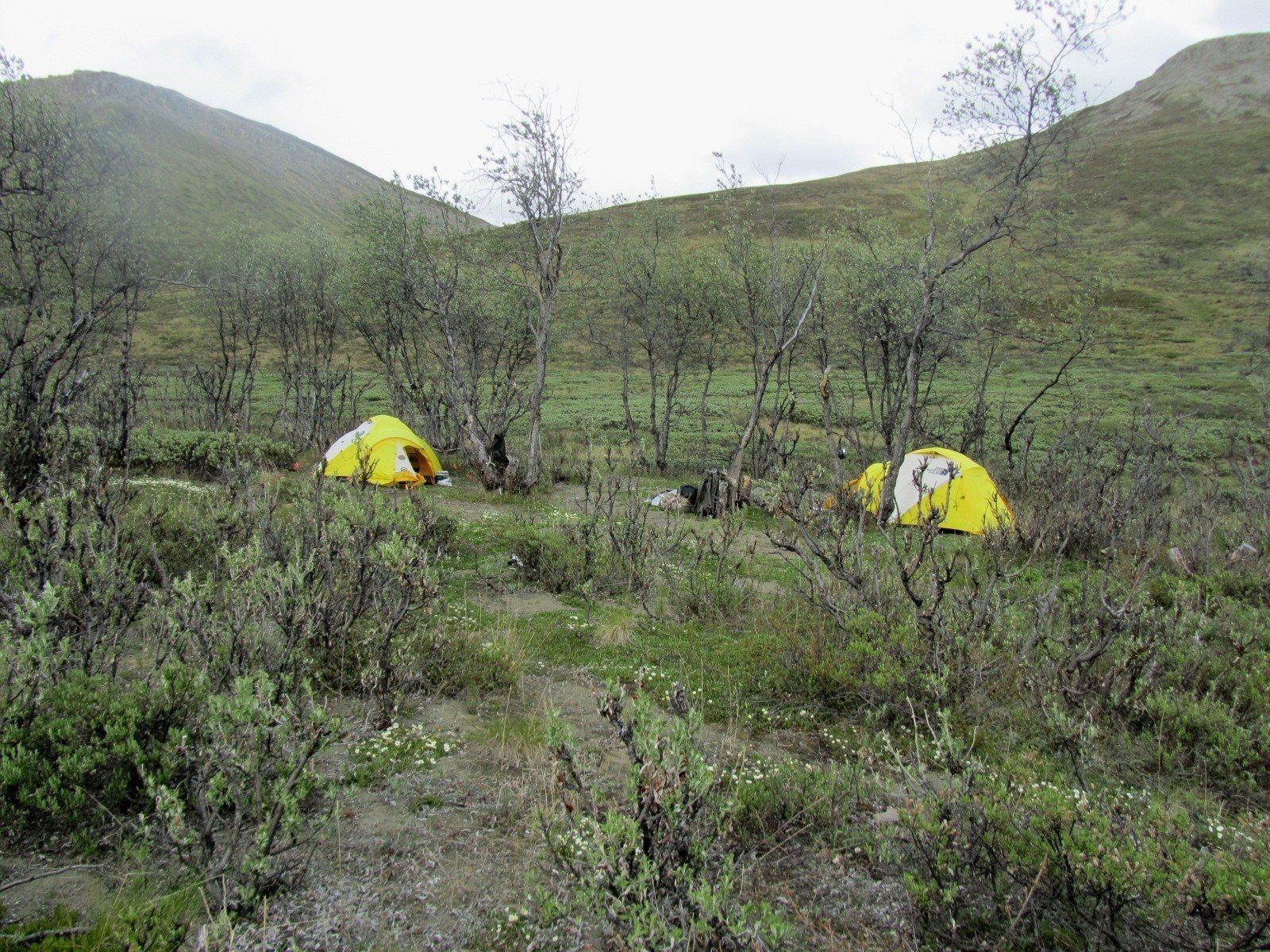 Alaska Grizzly Bear Hunting. Hunt, Exploring, Chugach Mountains, Talkeetna Mountains