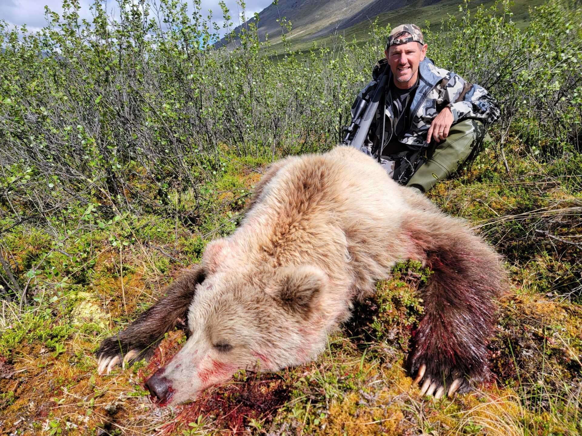 Alaska Grizzly Bear Hunting. Hunt, Chugach Mountains, Talkeetna Mountains