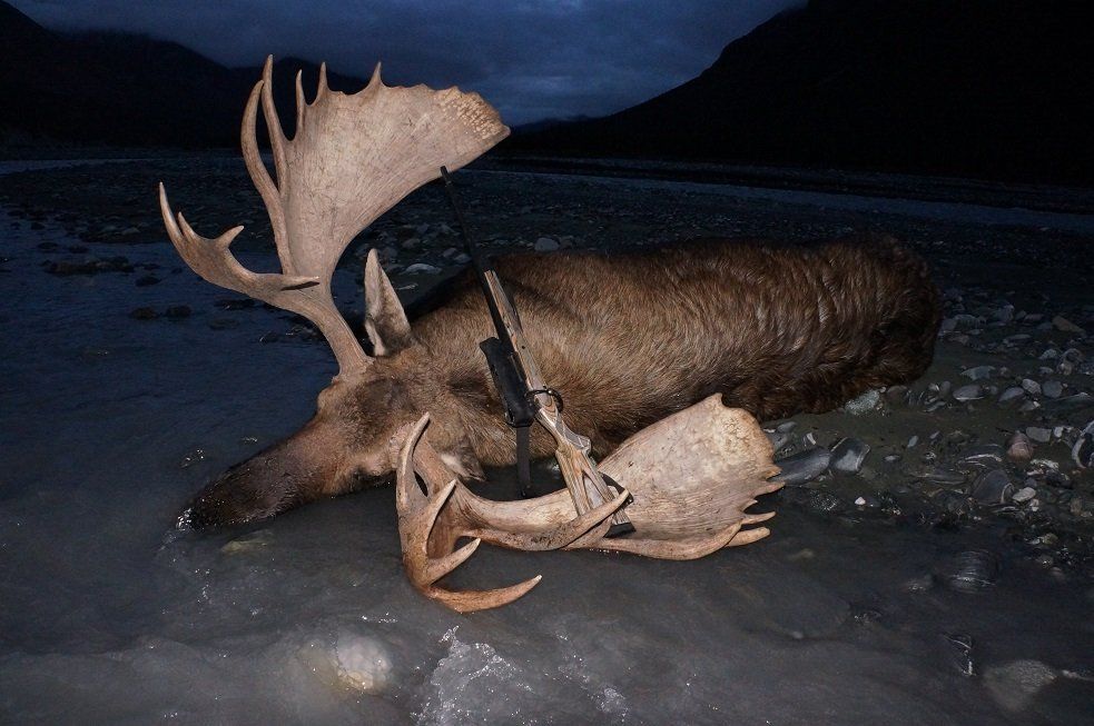 Alaska moose Hunting. Hunting, Alaska Moose hunt