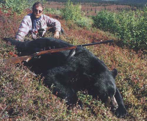 Alaska spring Black bear hunting, Alaska Black bear hunt, Guide, Outfitter