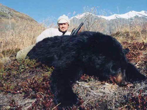 Alaska spring Black bear hunting, Alaska Black bear hunt, Guide, Outfitter