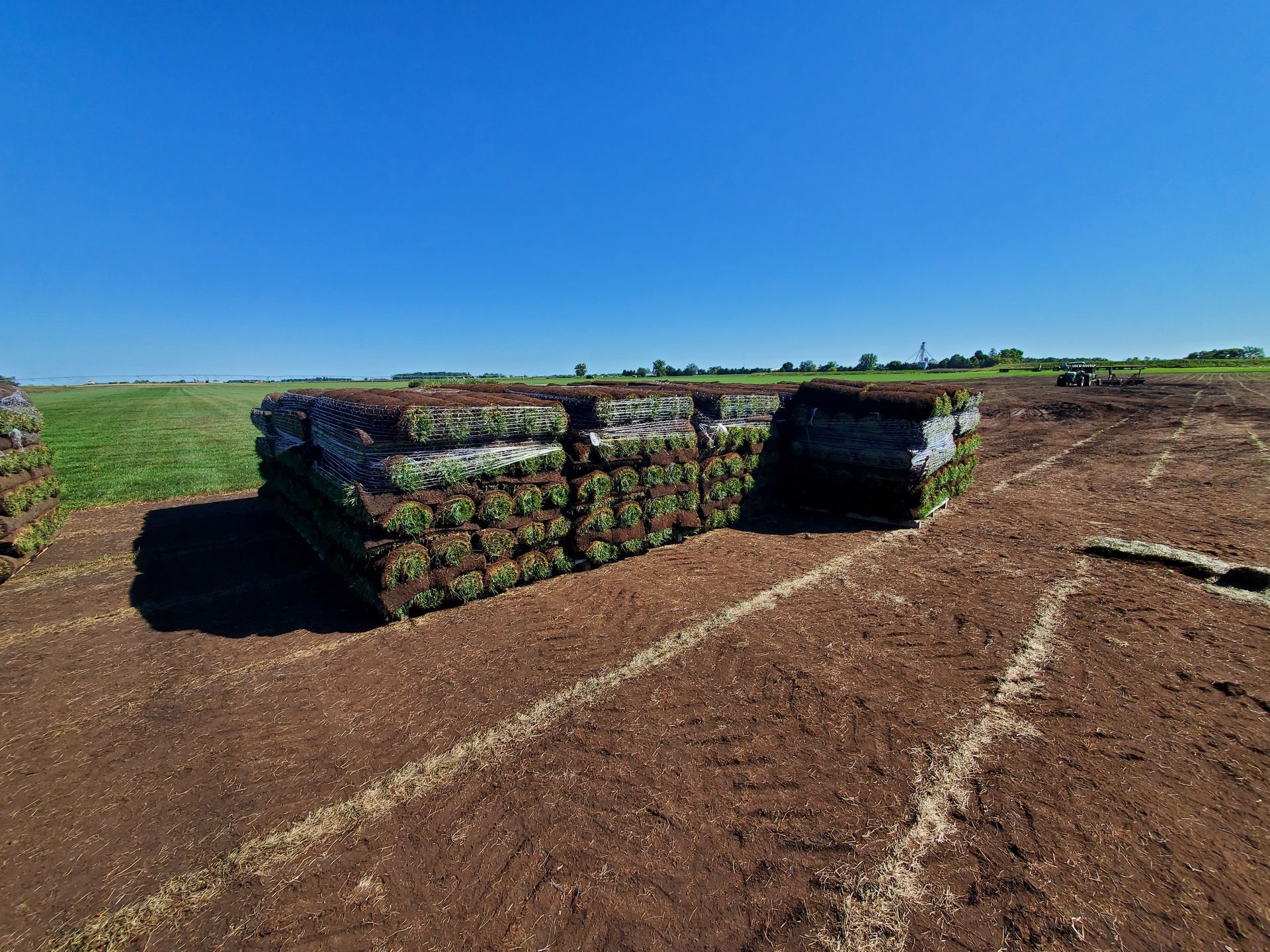 A pile of turf is sitting on top of a dirt field.