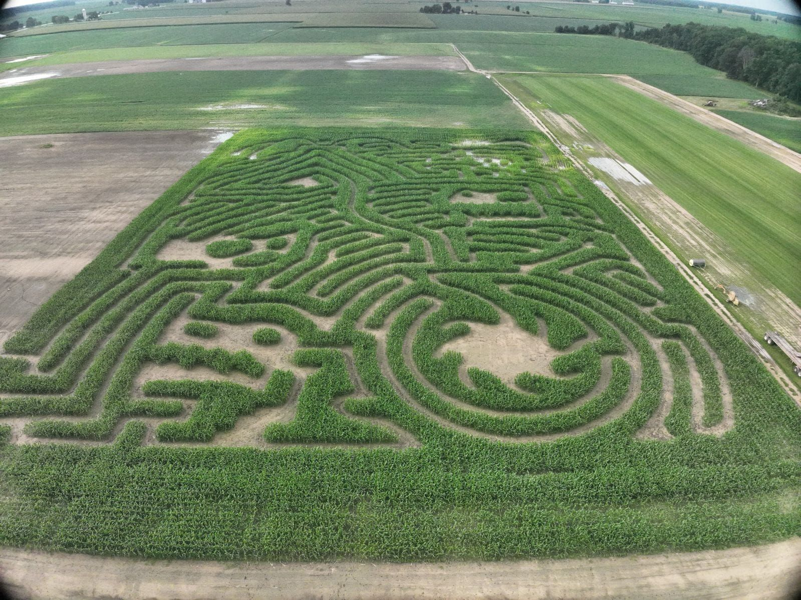 Aerial view of a large green crop maze in farmland, with winding paths and circular patterns.