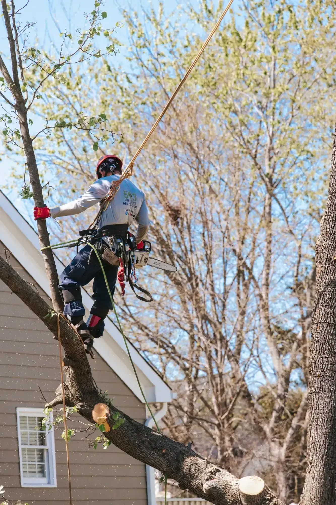 A man is climbing a tree in front of a house.