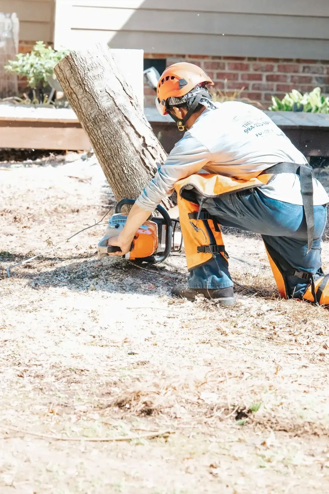 A man is cutting a tree with a chainsaw.