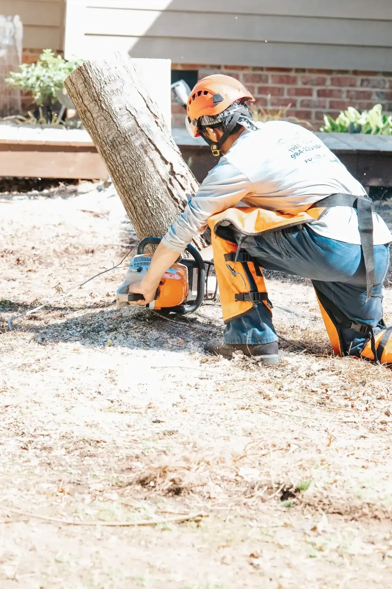 A man is cutting a tree with a chainsaw.