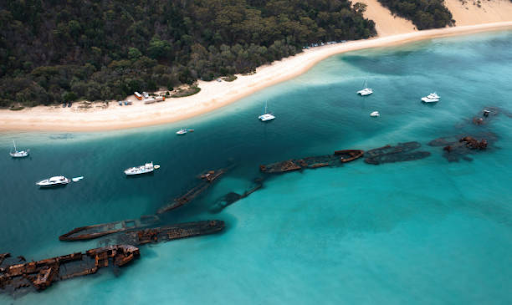 Tips for Planning Your Tangalooma Day Trip