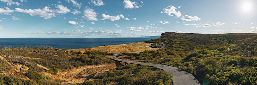 Cost-Free Attractions and Activities