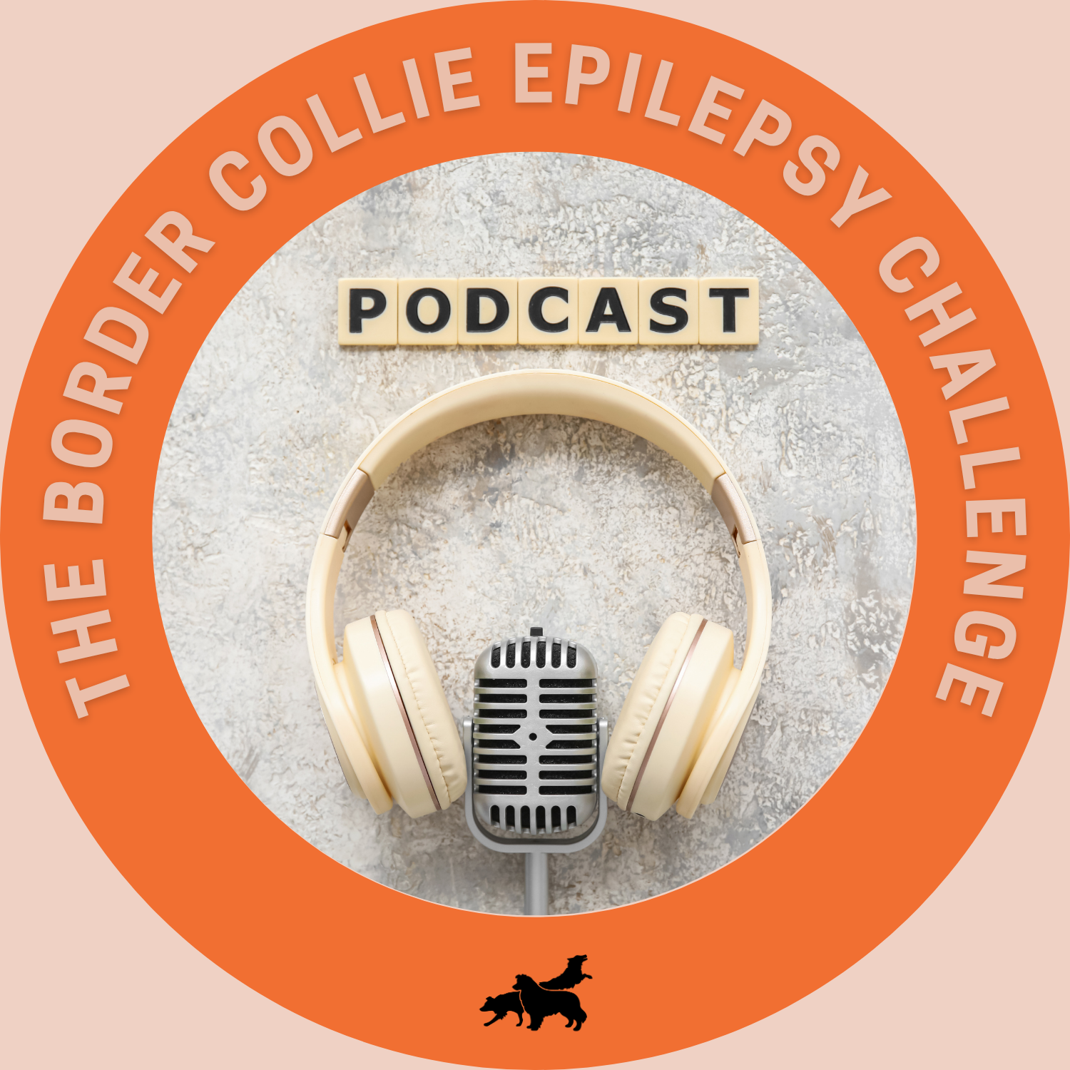 RBCNL podcast epilepsy