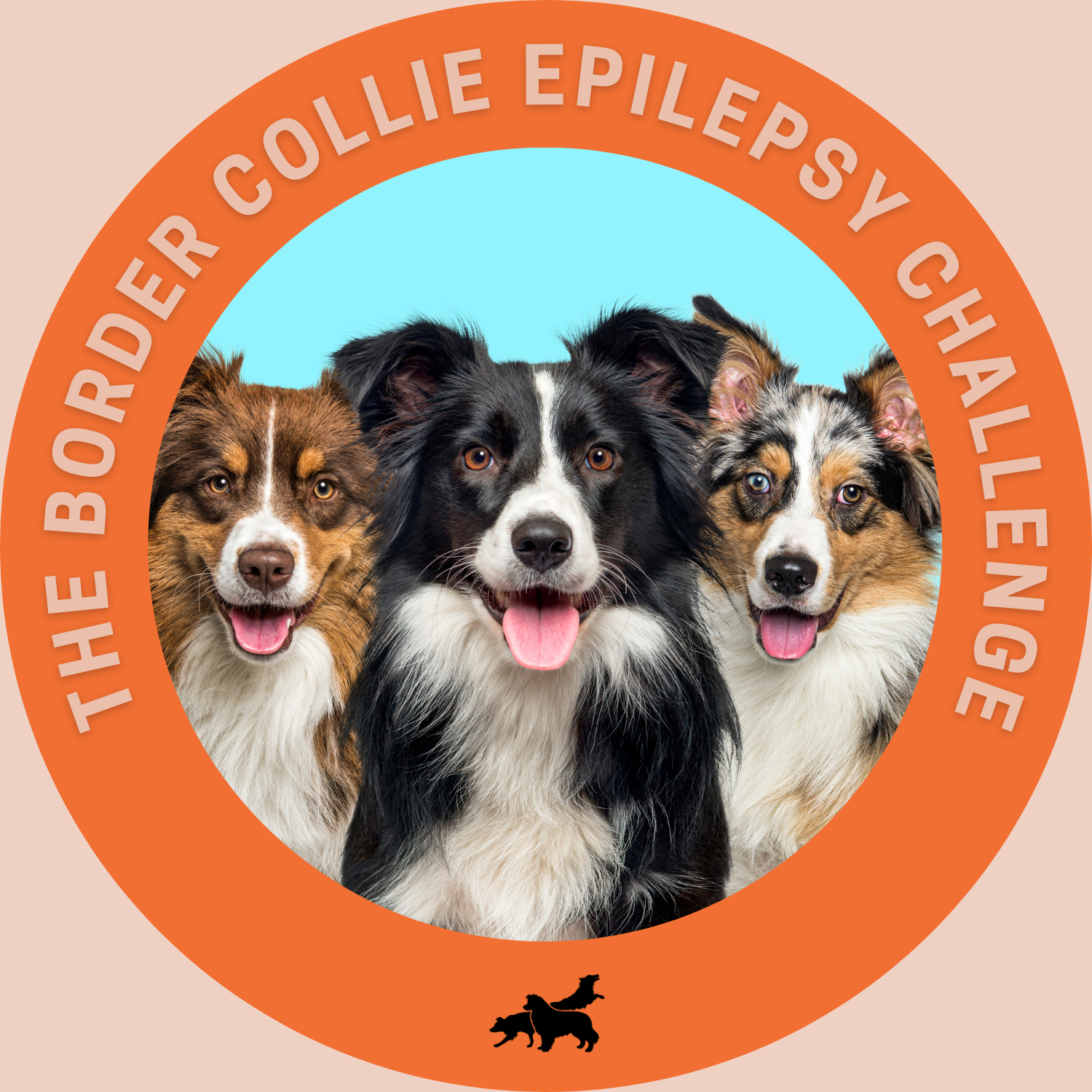 RBCNL epilepsy challenge