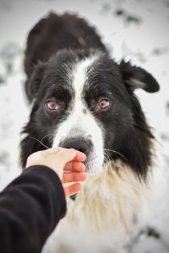 contact