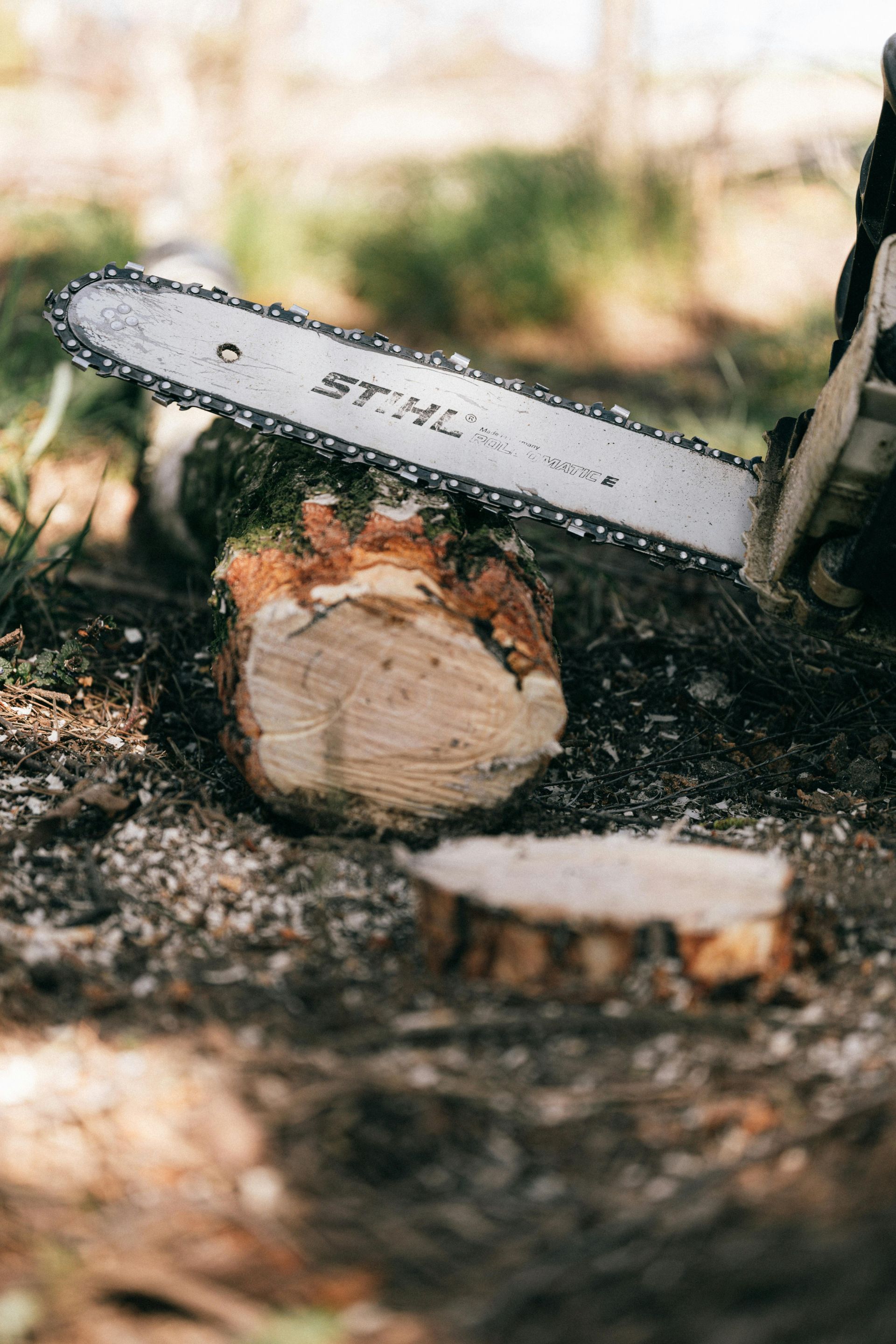 A STIHL chainsaw bar resting on a cut log in a natural forest setting with wood shavings on the ground.