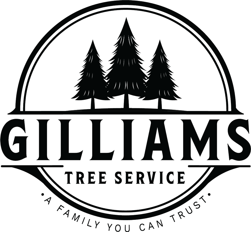 Logo for Gilliams Tree Service featuring three pine trees, the company name, and the slogan "A family you can trust."