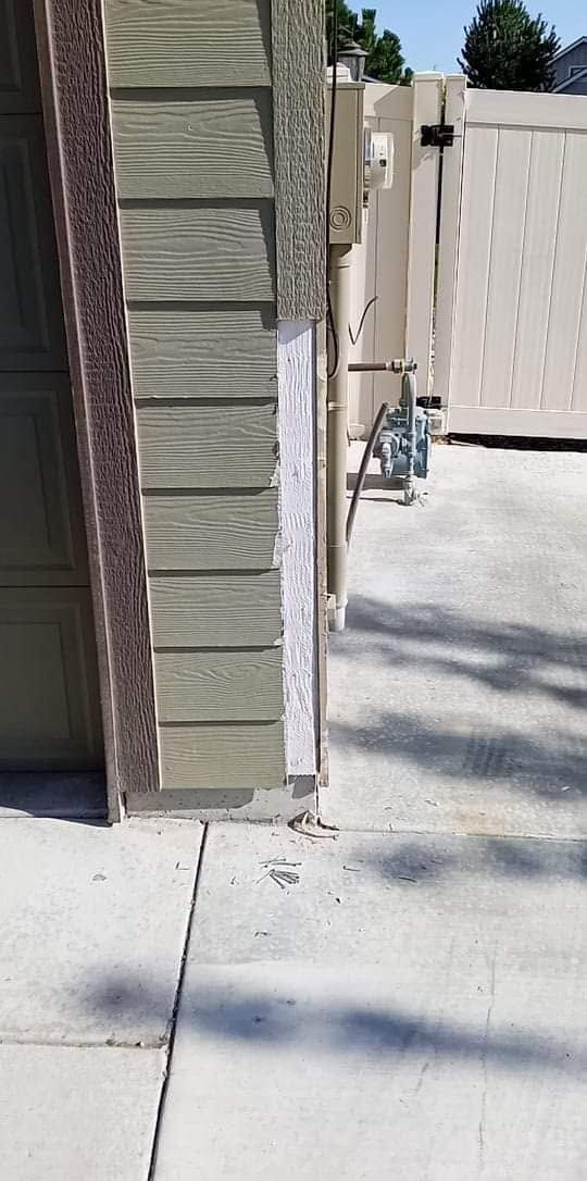 Narrow outdoor walkway beside a house, with a white gate and concrete path in sunlight.