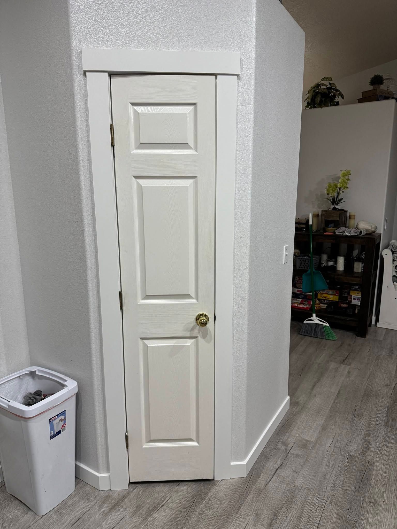 Narrow white closet door in a hallway with gray walls and wood flooring; trash bin nearby