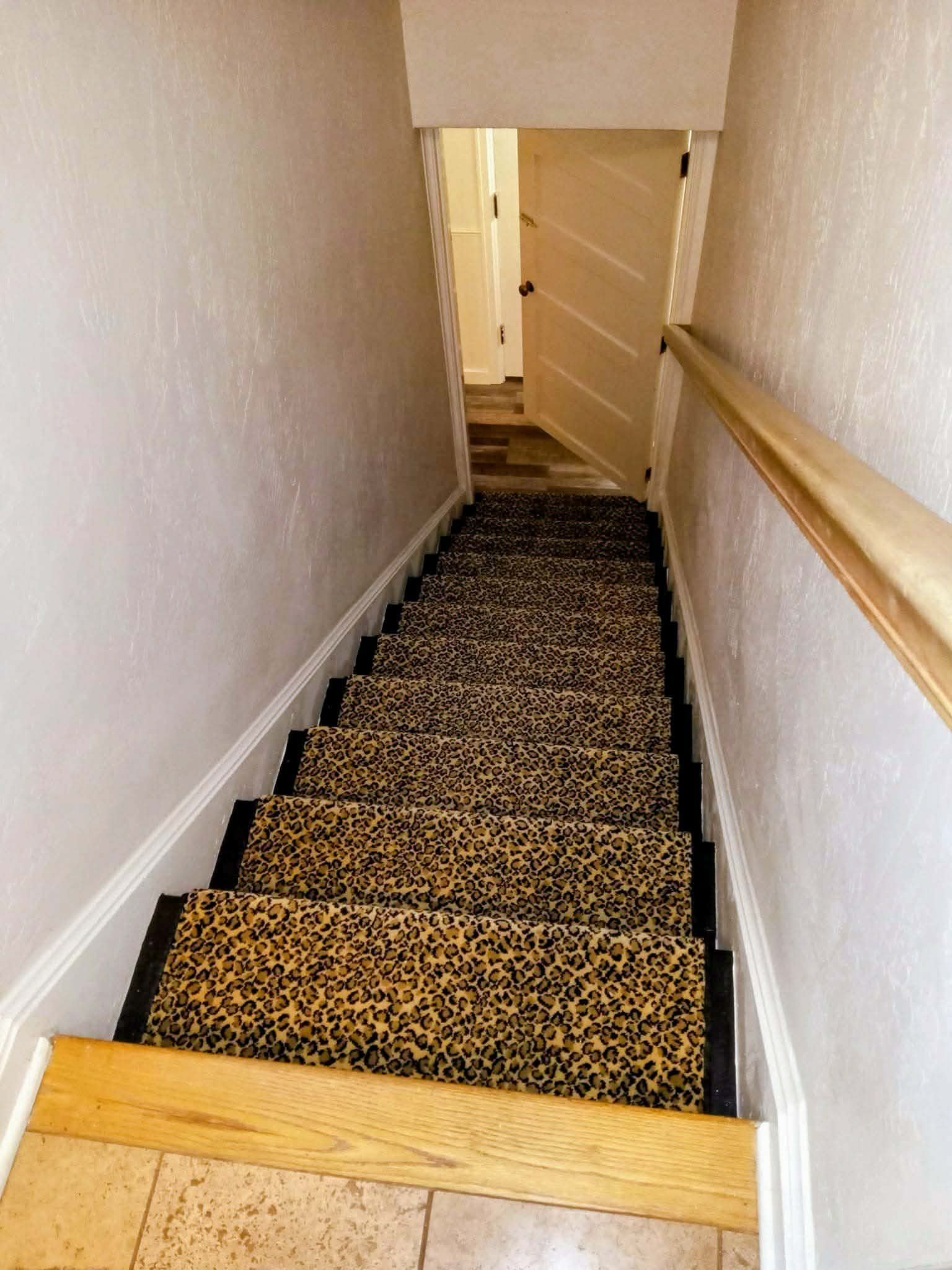 Narrow carpeted staircase descending into a hallway, with white walls and a wooden handrail.