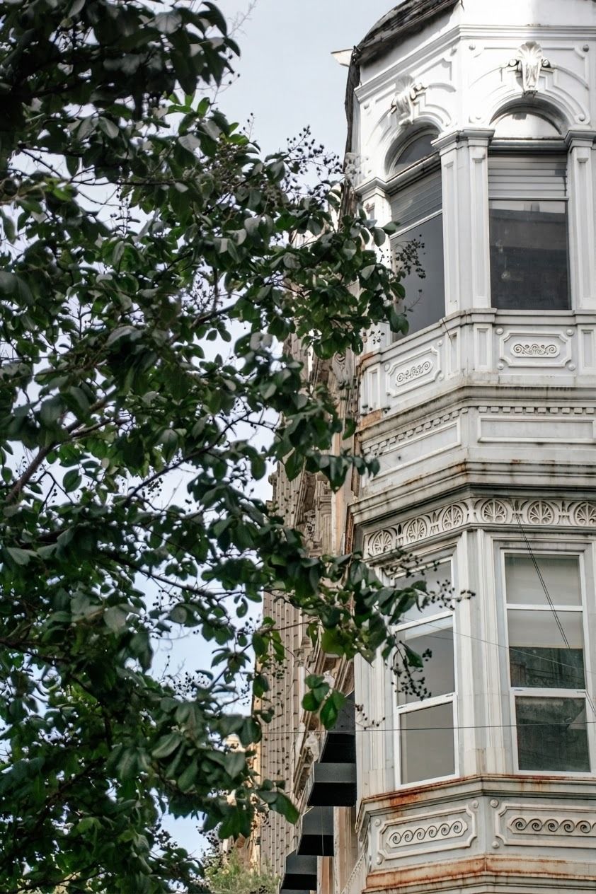 Fachada blanca y ornamentada de un edificio con miradores y un árbol que la oculta parcialmente