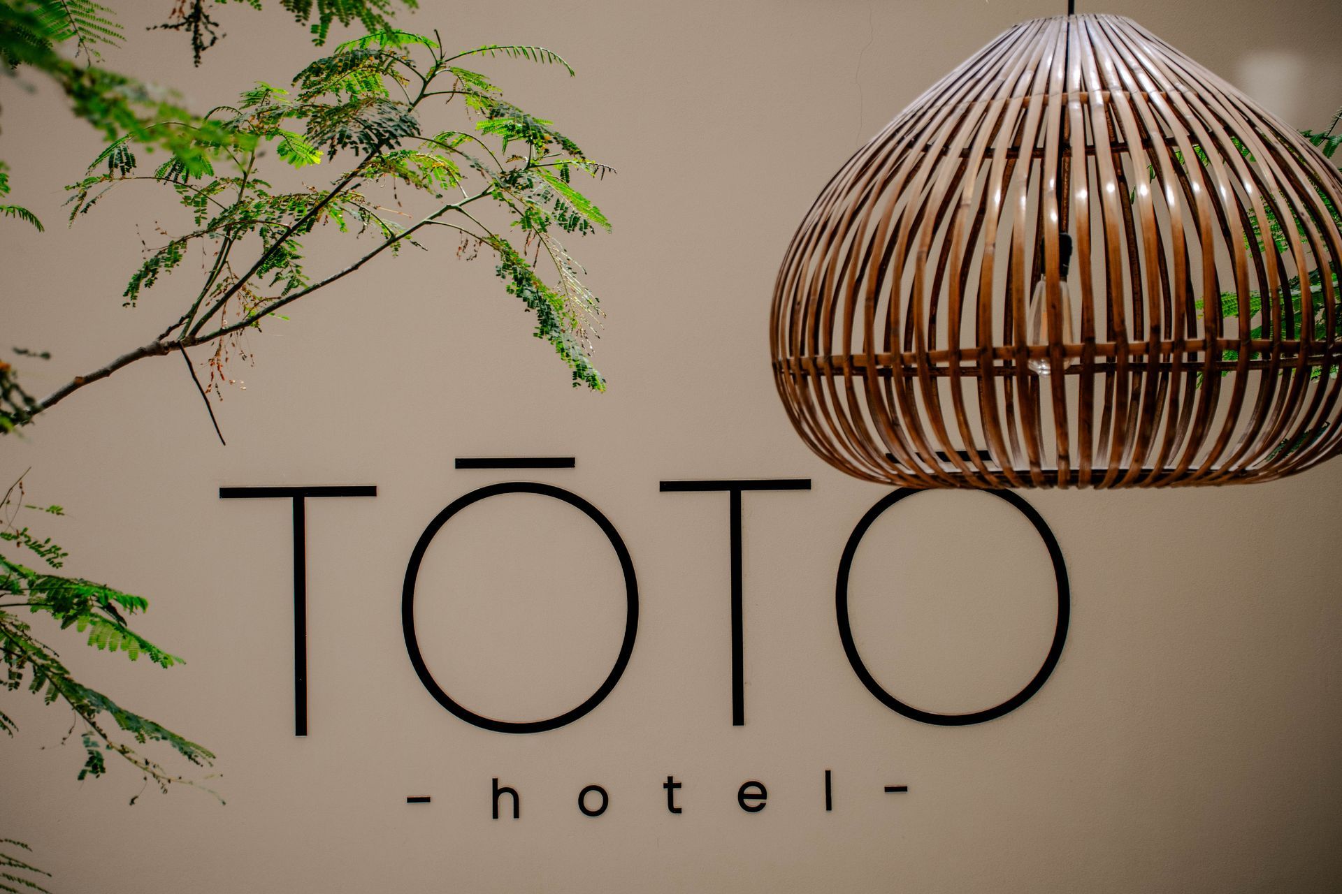 Letrero del hotel TOTO en una pared beige, con plantas colgantes y una lámpara colgante de mimbre