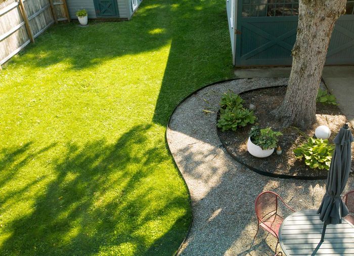 Backyard with Lush Green Lawn and a Tree