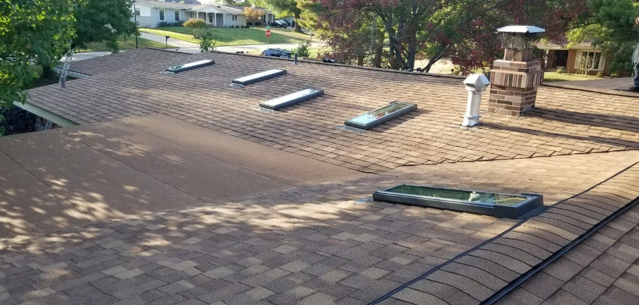 Rooftop with rows of solar panels and two chimney vents in sunlight, with trees and a distant landscape.