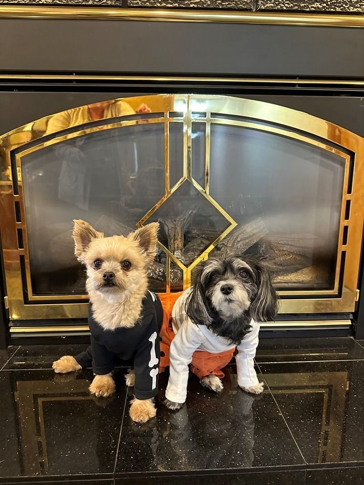 Staff Photo