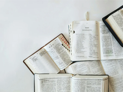 Open books spread out on a white surface, viewed from above