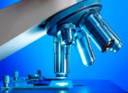 Análisis Clínicos Biomédicos - Microbiología