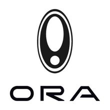 Logotipo de ORA en negro con un emblema ovalado estilizado sobre la palabra ORA.