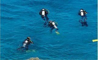 Scuba Diving in Sardinia