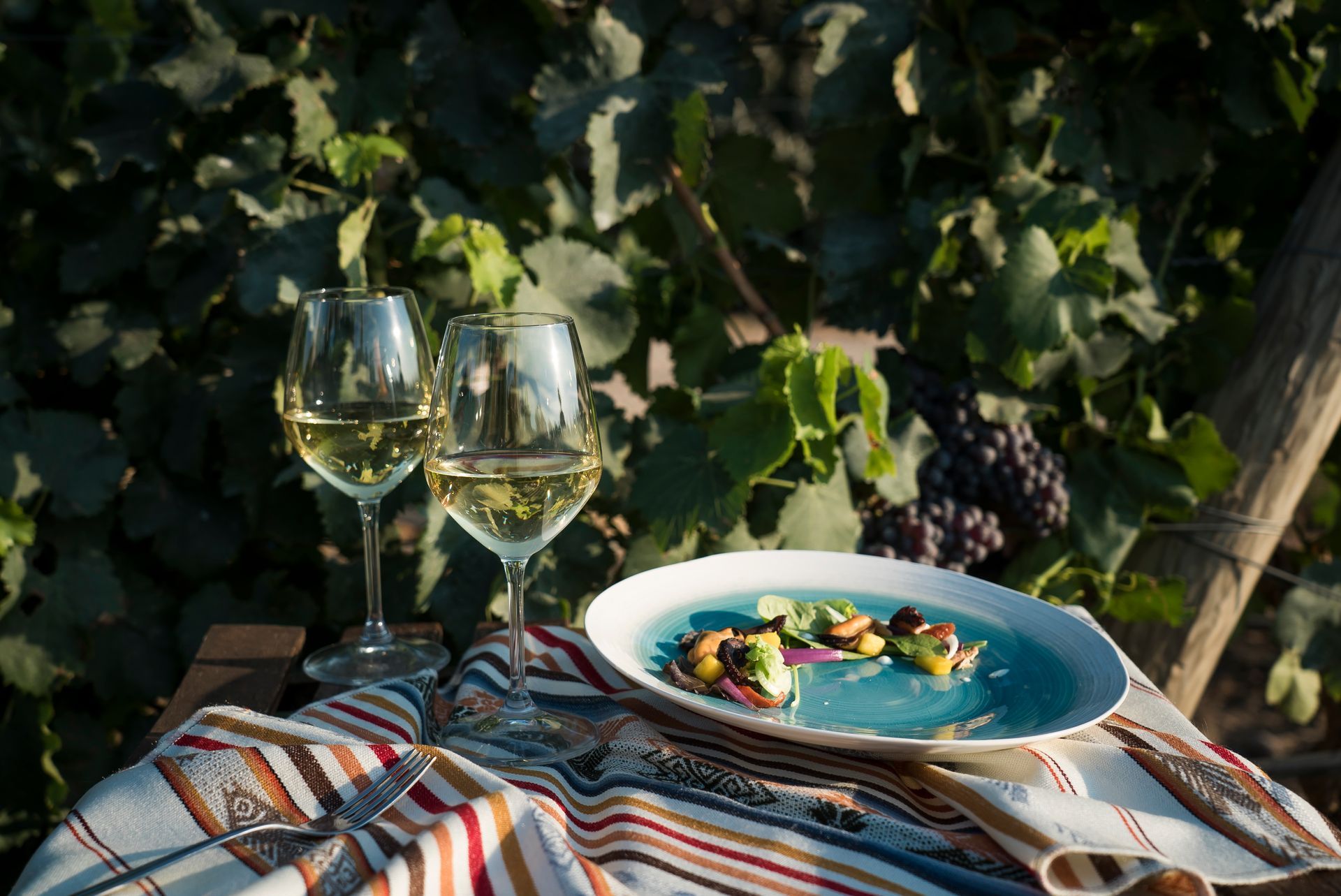 Taste of Sardinia