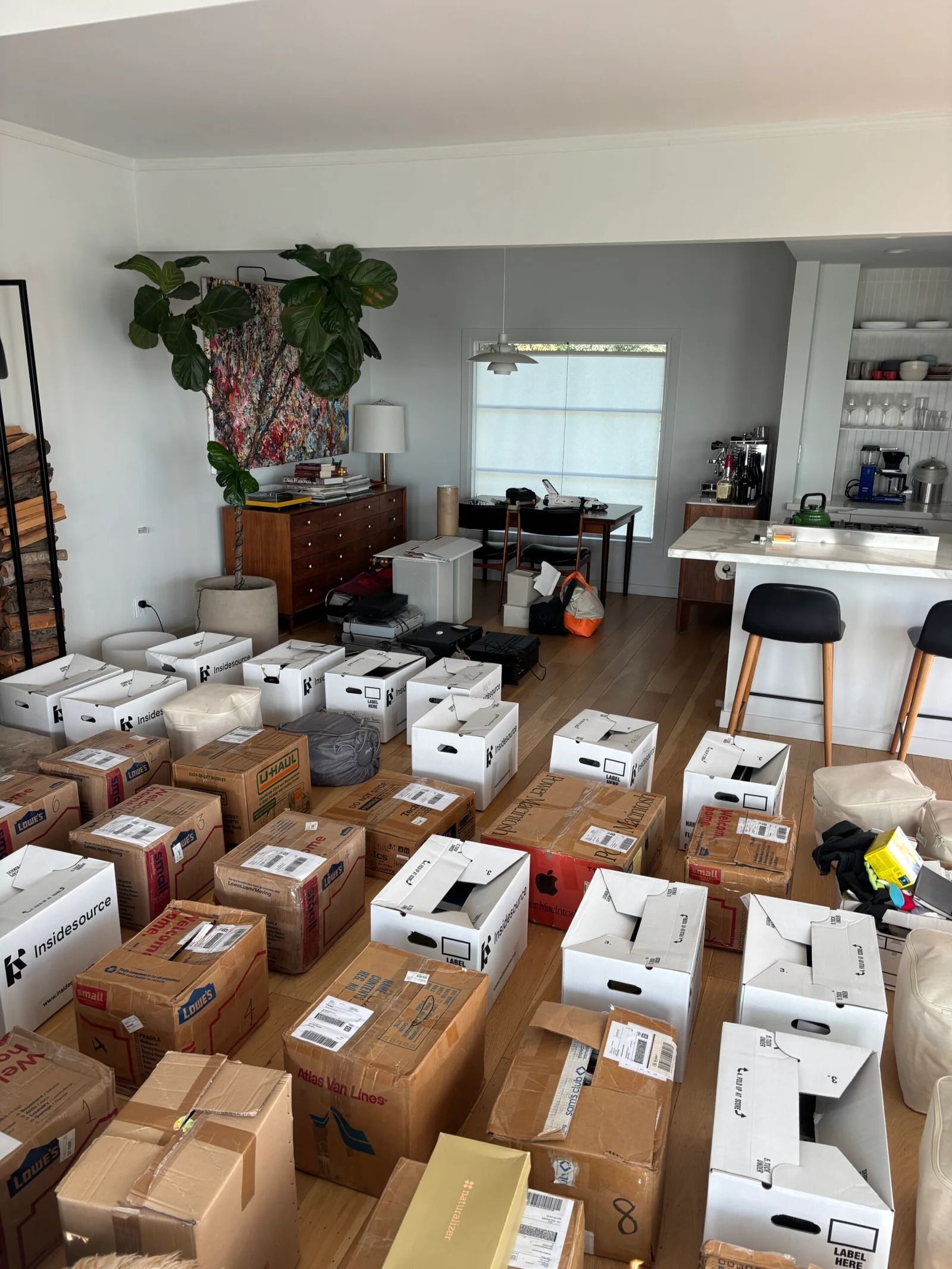 A room filled with numerous cardboard moving boxes, with a kitchen counter and a large potted plant in the background.