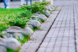 Stone-edged garden border beside a paved walkway, with green plants and grass growing between rocks