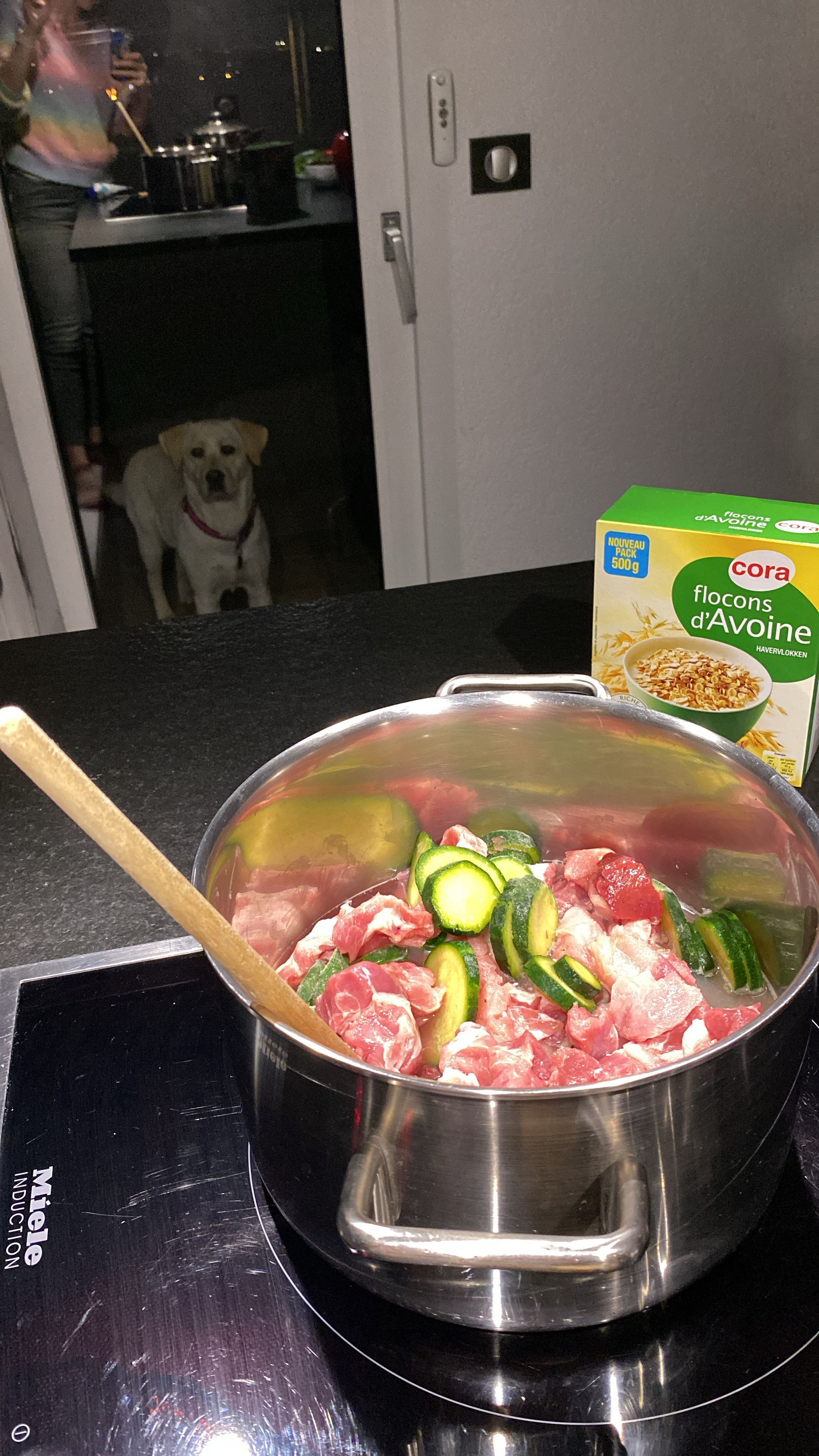 Alimentation chien naturelle