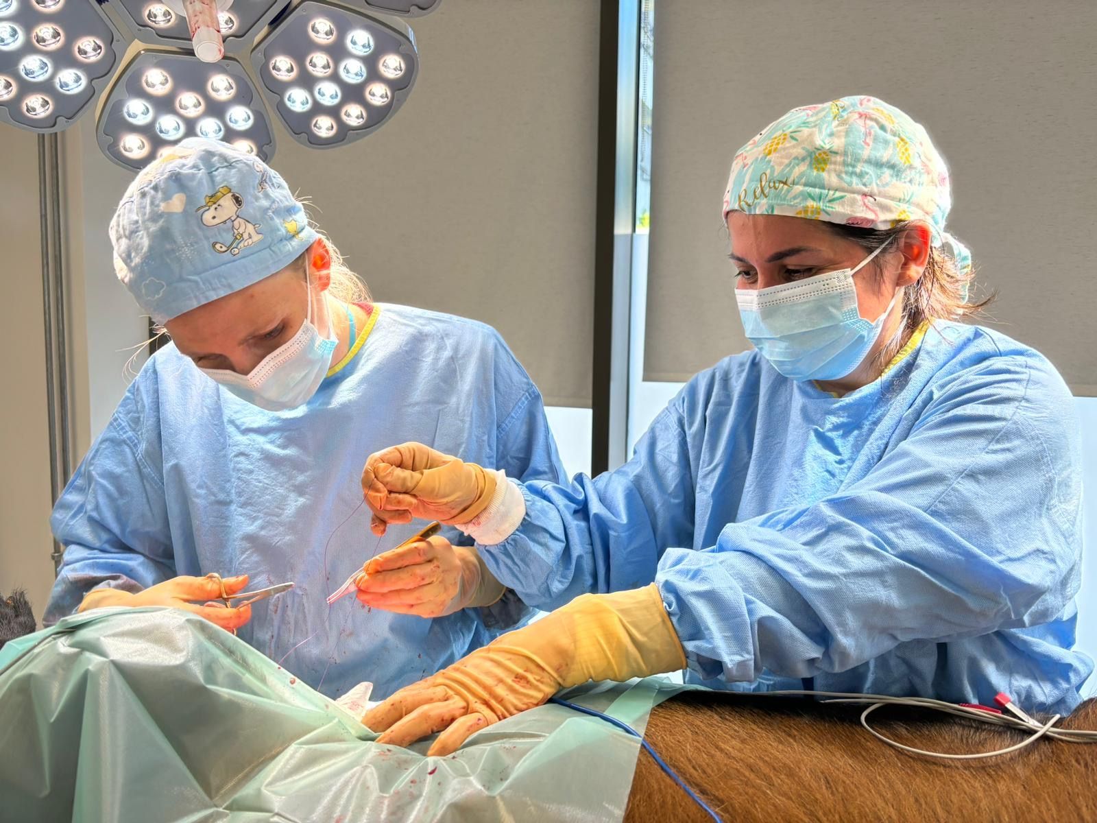 Chirurgie 