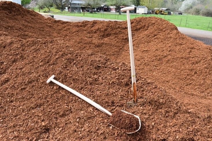 Medium Fine Bark #1 — Redmond, WA — de Jong’s Avondale Bark & Topsoil