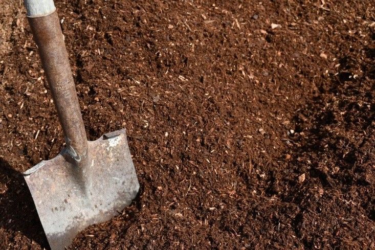 Super Fine Bark #2 — Redmond, WA — de Jong’s Avondale Bark & Topsoil