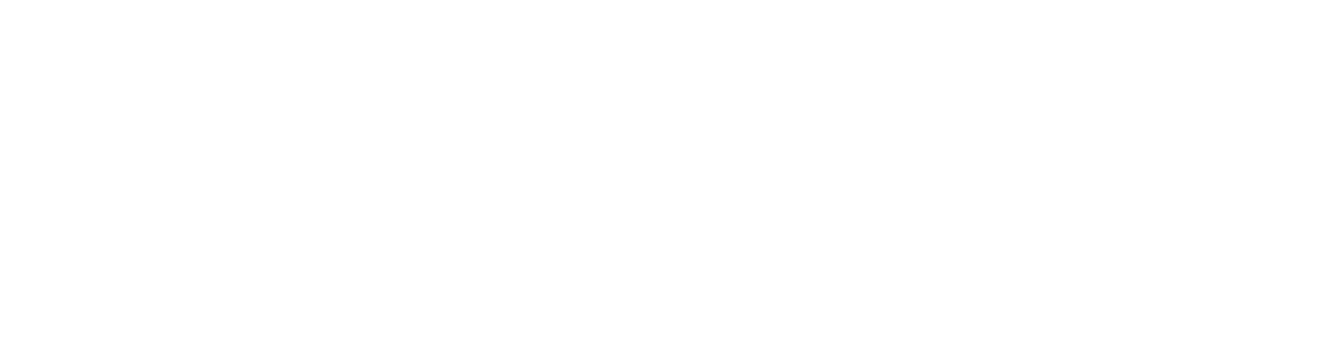 XPEL Logo