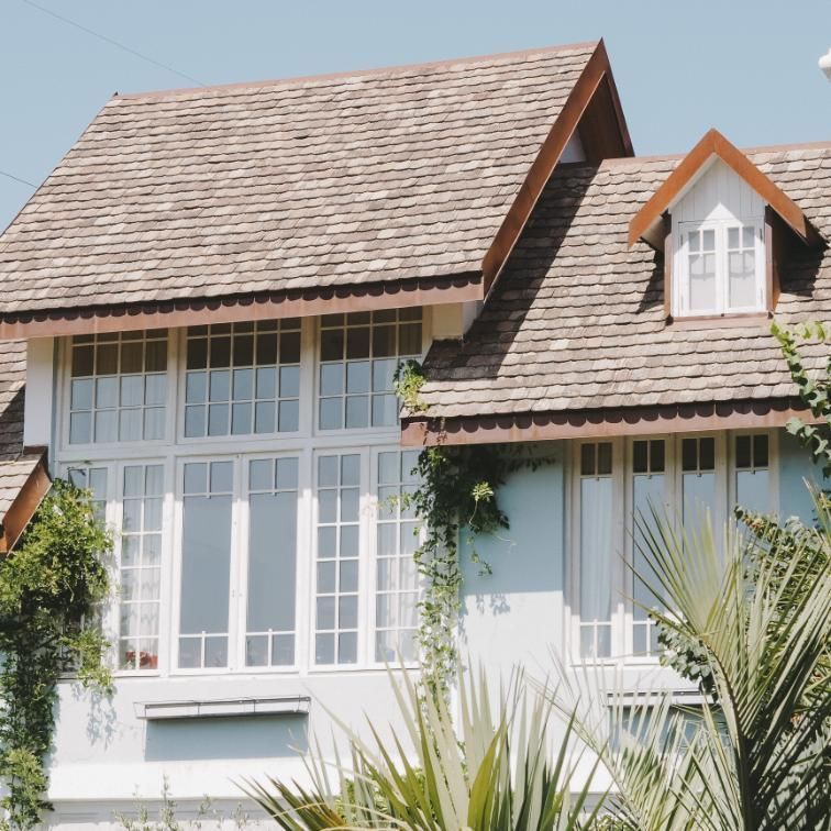 White house with large windows, shingled roof, and palm fronds in front