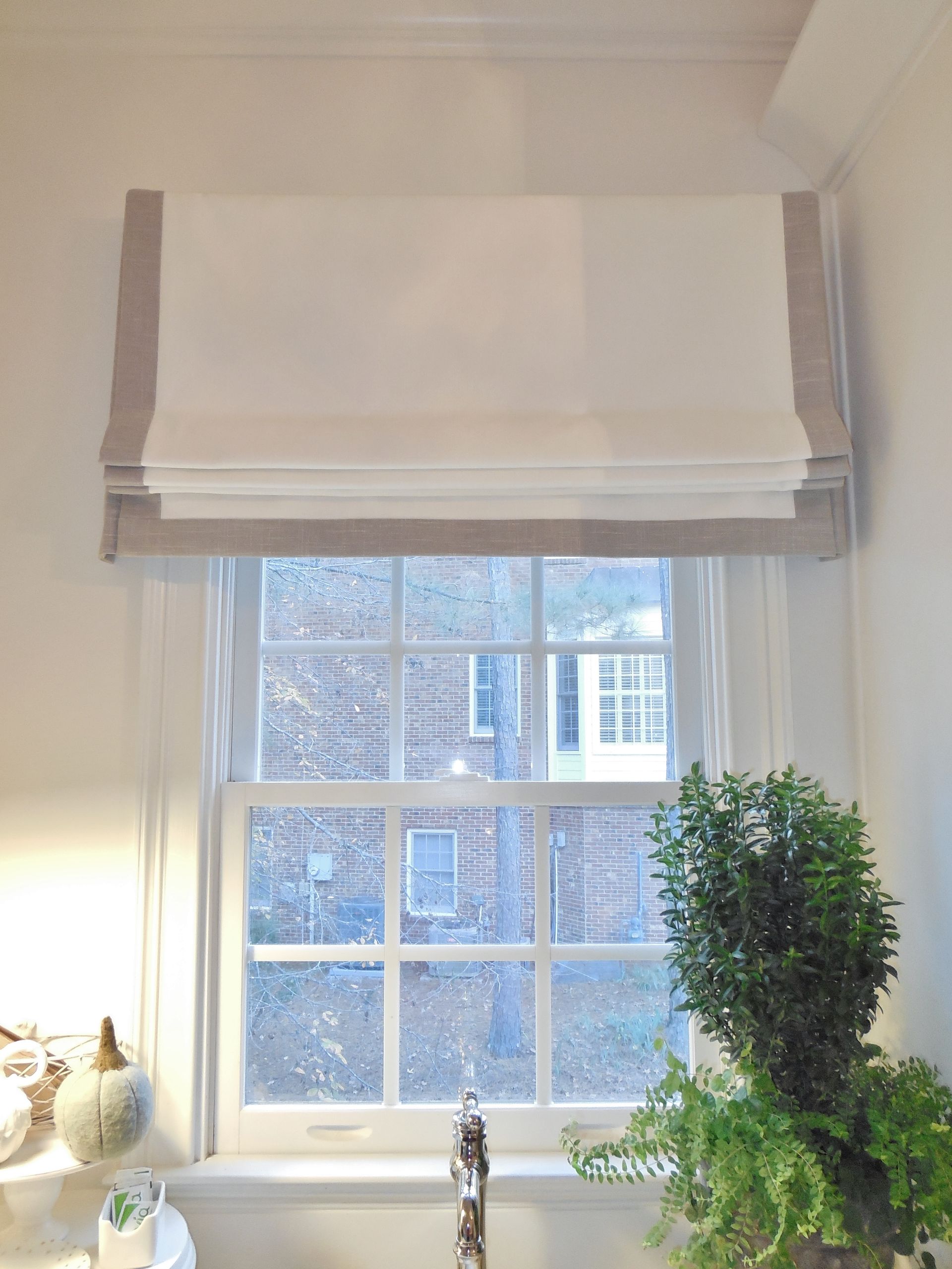 White Roman shade above a window with snowy view and a small green plant on the sill