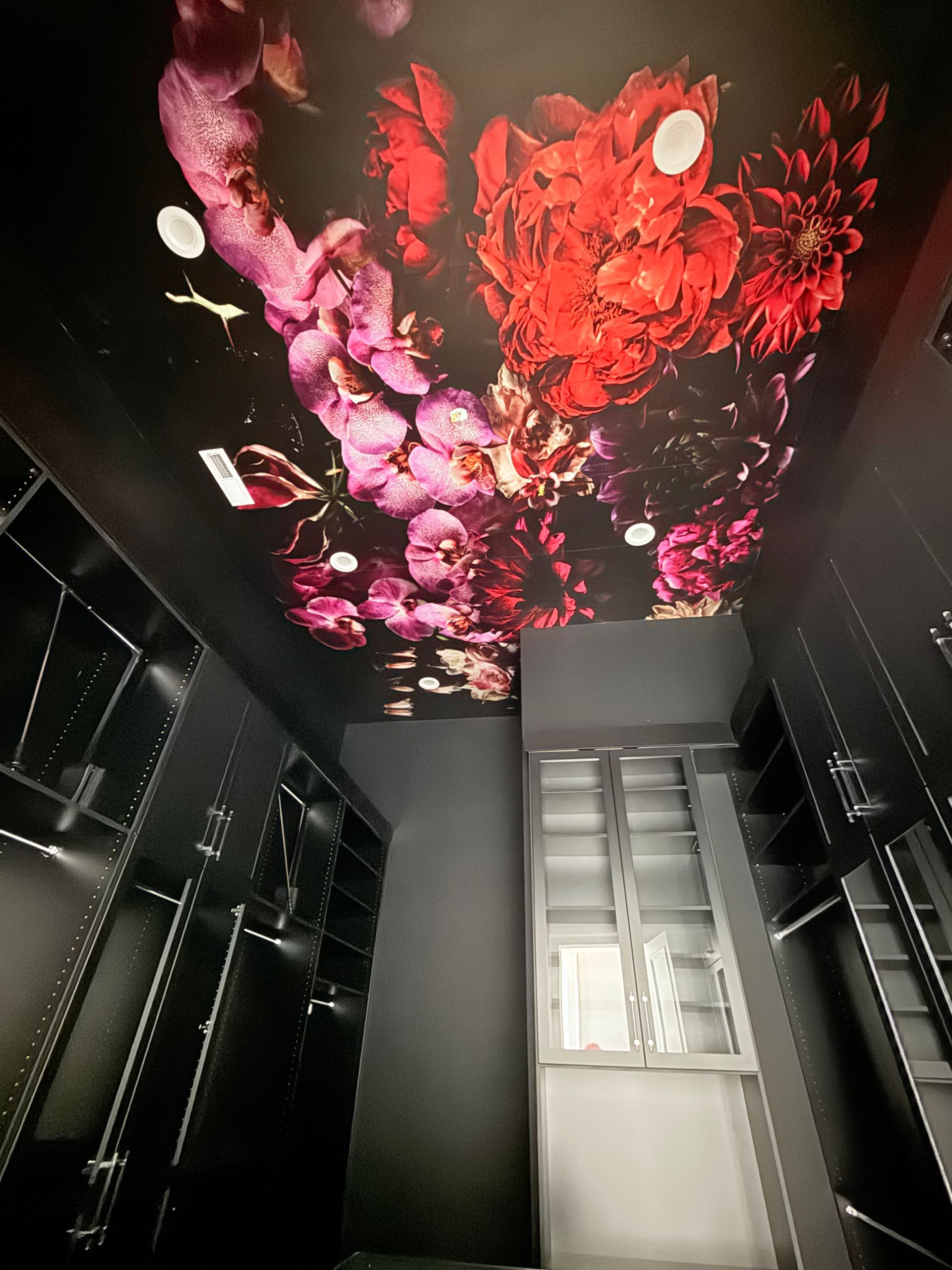 Black hallway with a colorful floral ceiling mural and a window at the end.