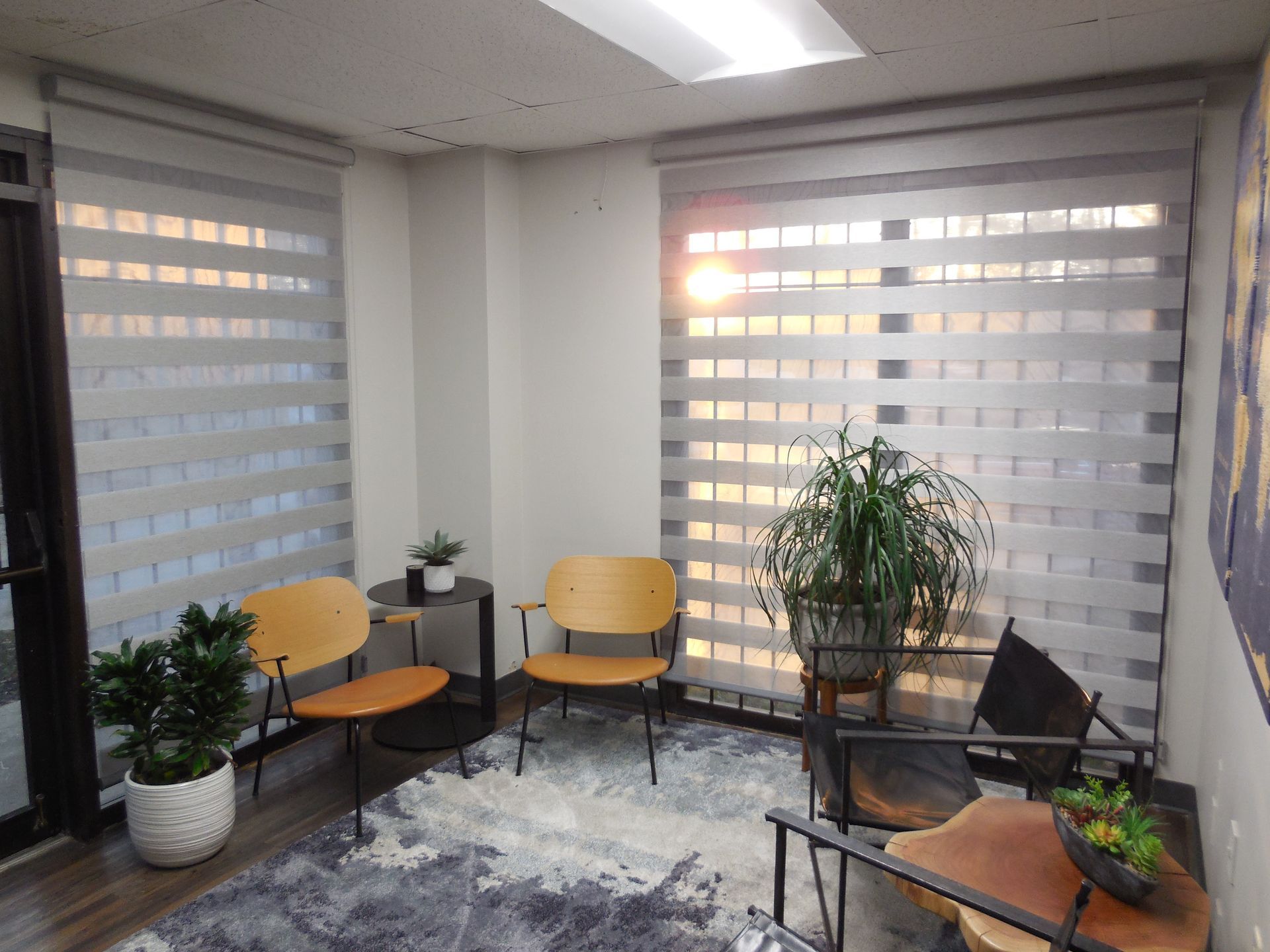 Small office lounge with chairs, potted plants, side tables, and large blinds filtering light