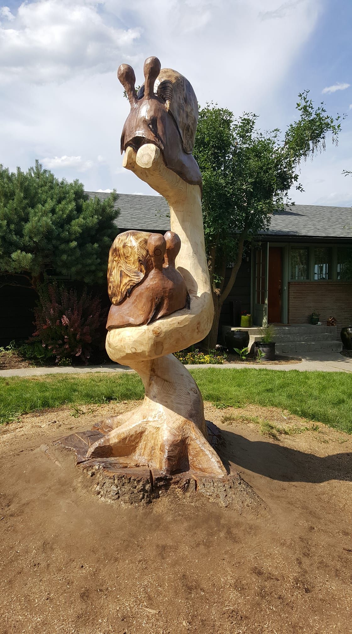 Gallery | Spokane, Washington | Freeform Trees, Landscape & Irrigation, LLC