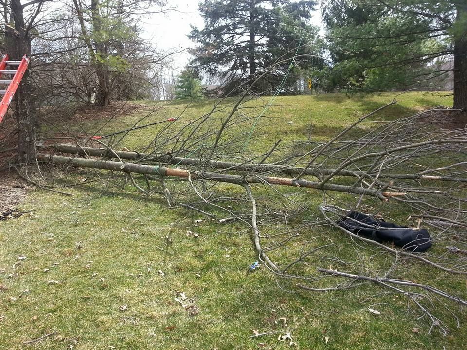 Yardwaste Pickup — Powell, OH — Dependable Landscape Services, Inc. Yardwaste Pickup — Powell, OH — Dependable Landscape Services, Inc.