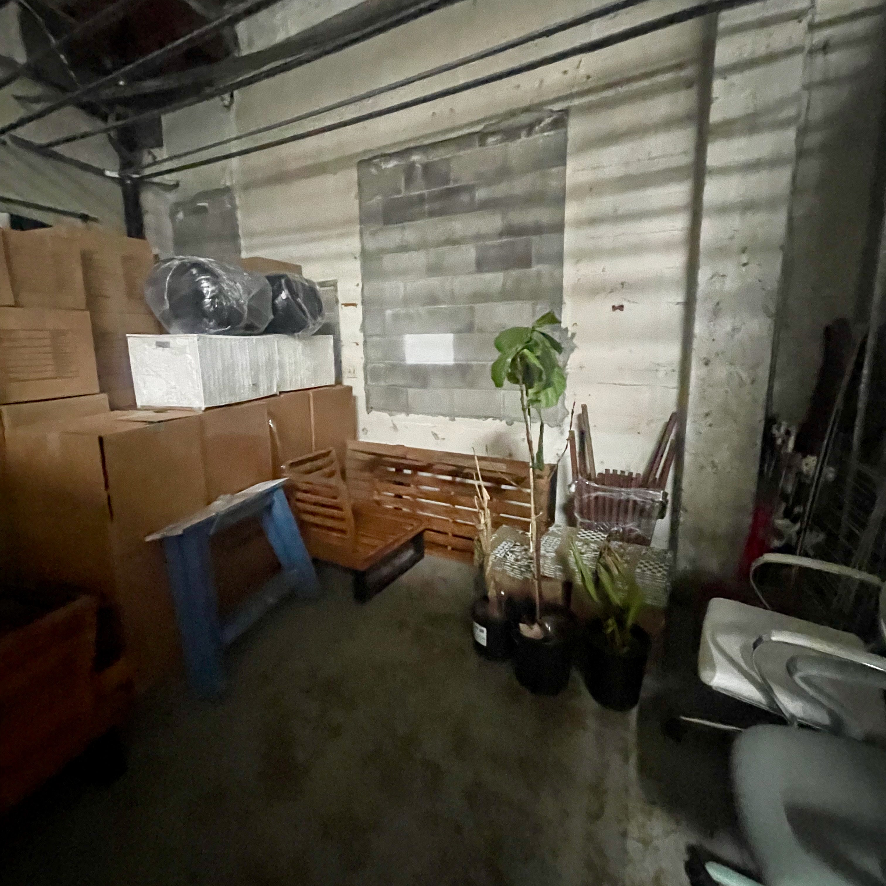 Basement storage room with cardboard boxes, plants, a blue stool, and a wooden pallet against a brick wall.