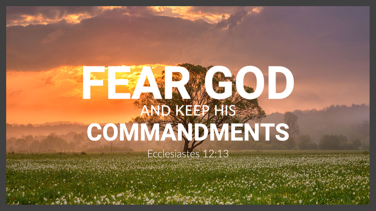 A picture of a tree in a field with the words `` fear god and keep his commandments ''.