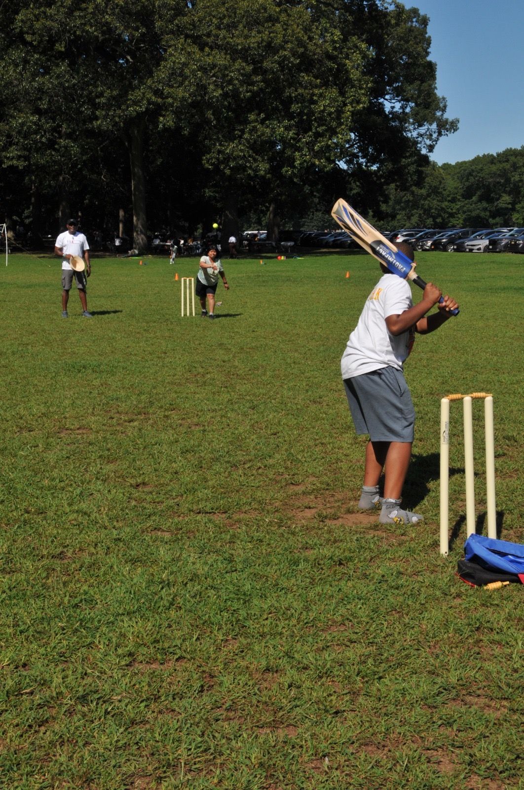 Cricket game on a grassy field, with a batter in white and blue poised to hit near the stumps.